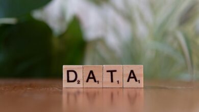 global database verification ids listed