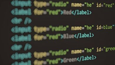 how to find model identifier