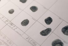 network activity record identifiers listed