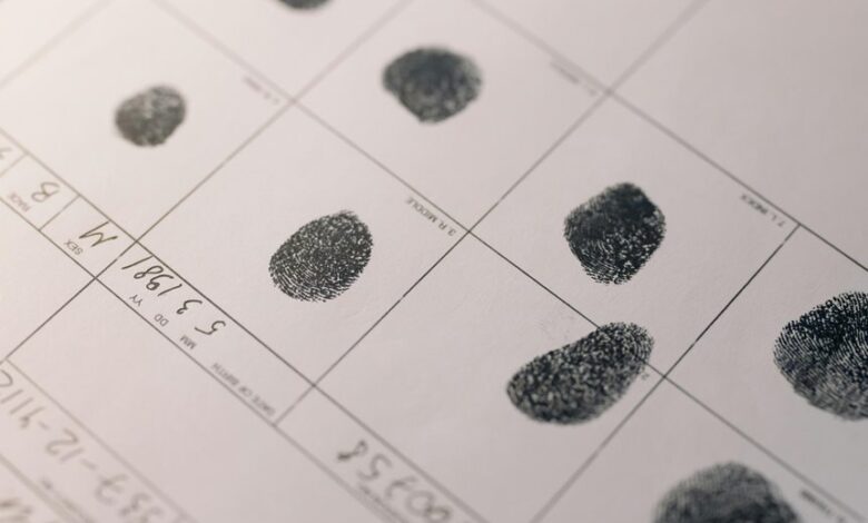 network activity record identifiers listed