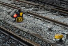 network safety observation ids list