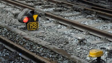 network safety observation ids list