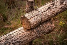 next generation security coordination log