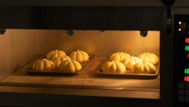 oven temperature specification details