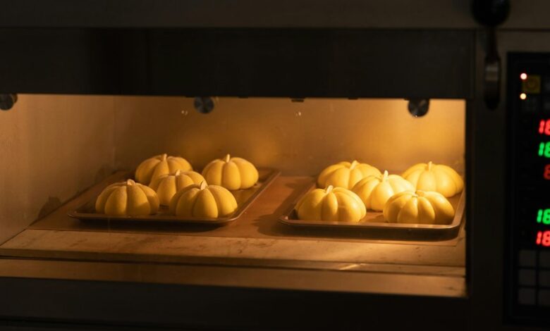 oven temperature specification details