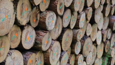 structured log identifiers listed sequentially