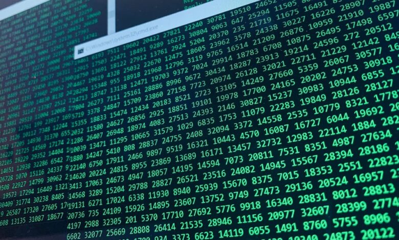 validate caller data integrity large financial numbers