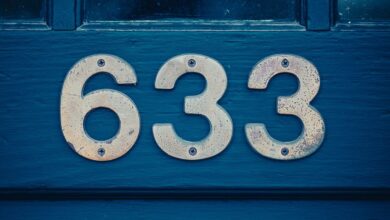 caller identity search insights multiple numbers listed