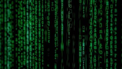 hidden number verification details listed