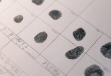 latest analysis numbers across multiple ids