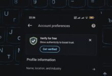 list of phone numbers found