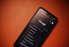 list of phone numbers provided