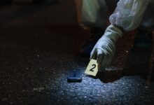 list of serial activity numbers provided