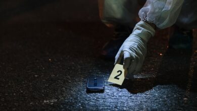 list of serial activity numbers provided