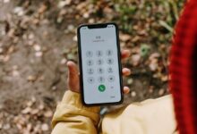 phone numbers list extracted