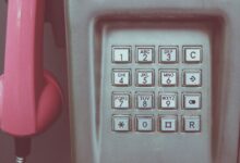 phone numbers of owners listed