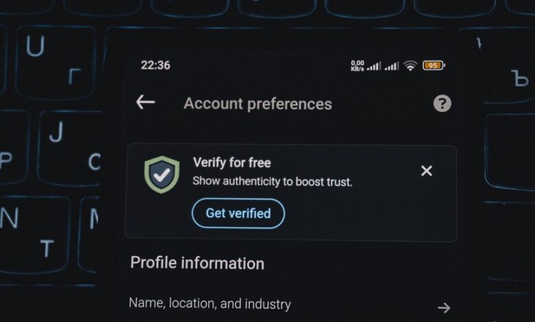 phone verification numbers list provided