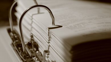 reports and records list numbers provided